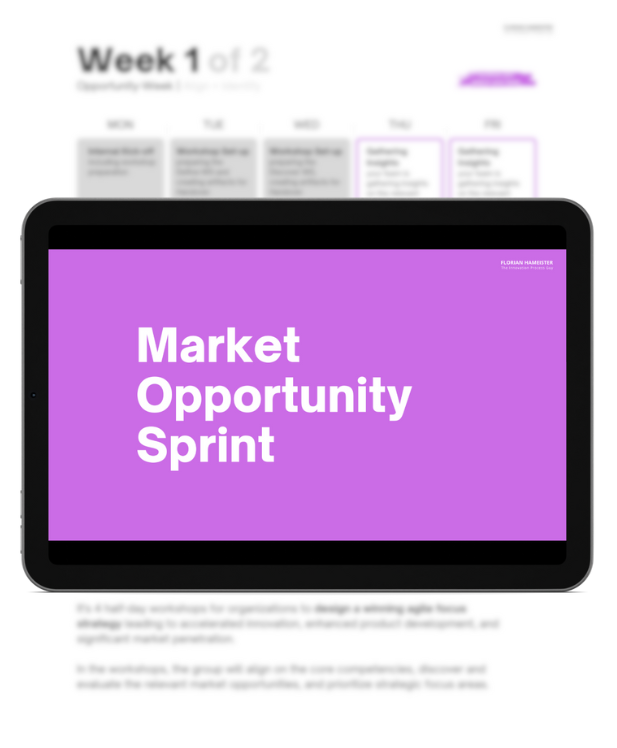 Preview Market Opportunity sprint